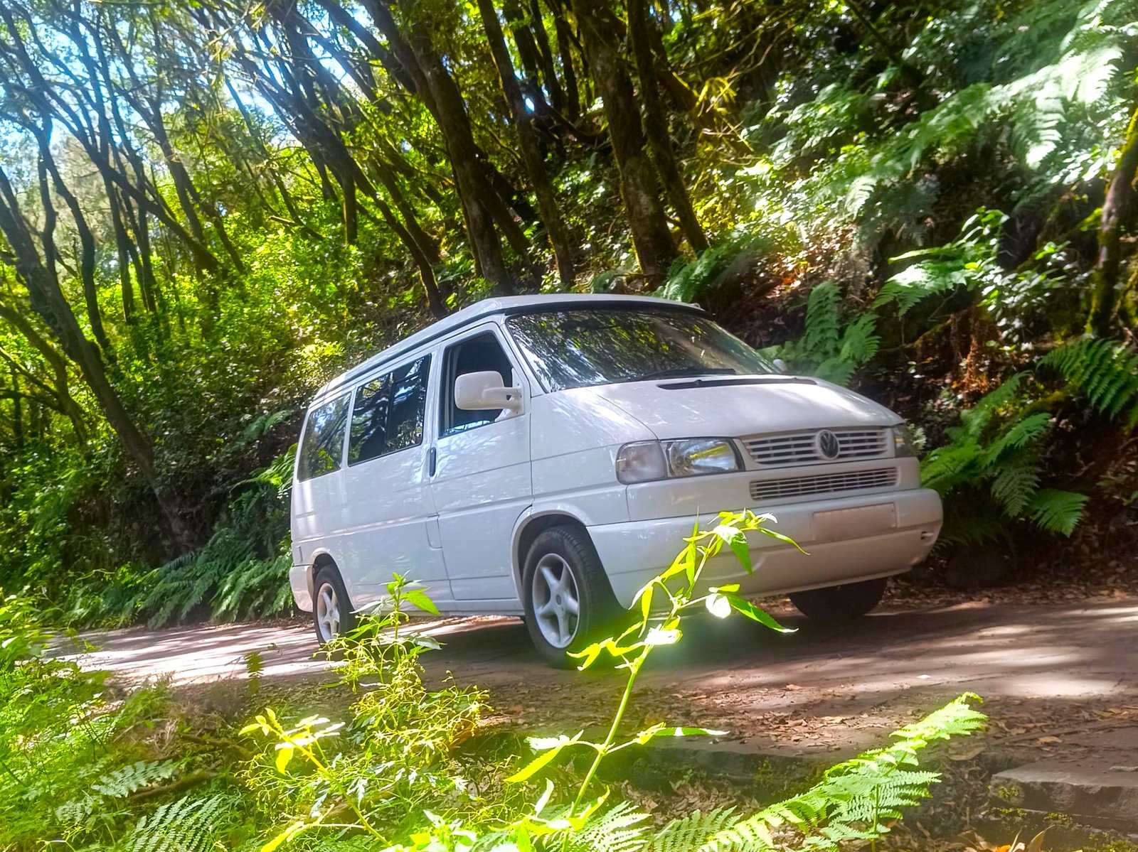 Furgoneta camper en La Gomera